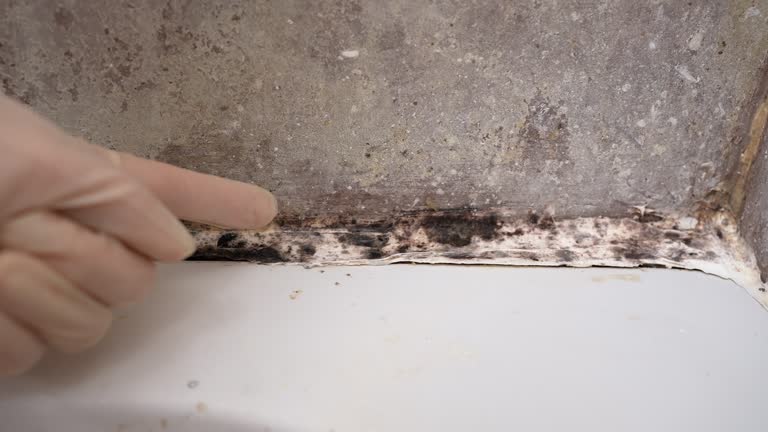 Best Mold Removal for HVAC Installations  in Schuyler, NE